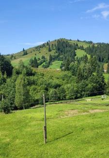 Yablunytsya House | Saduba Pushkarivchyk