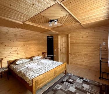 Yablunytsya House | Saduba Pushkarivchyk