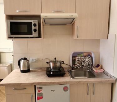 Truskavets House | Sadyba Margaryta