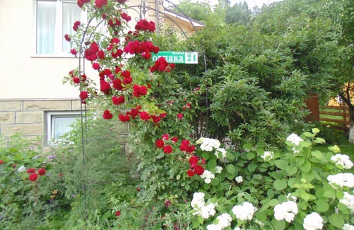 Yaremche House | Sadyba u Lesi