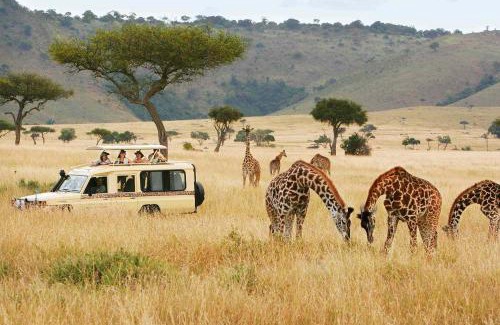 Taita Hills Other | Safari Bubbles