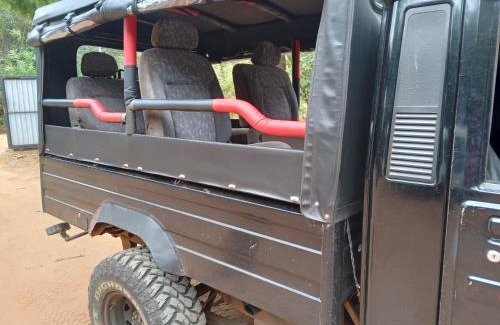 Hingurakgoda Other | Safari with Asanka