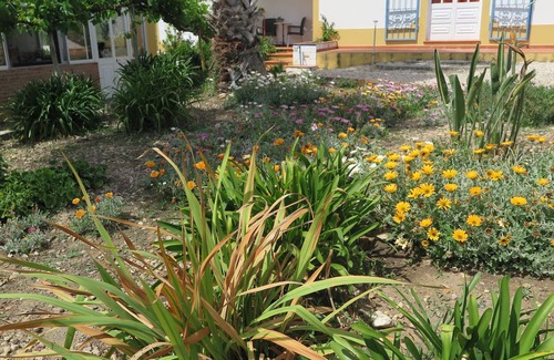 Pavia House | Safe Haven