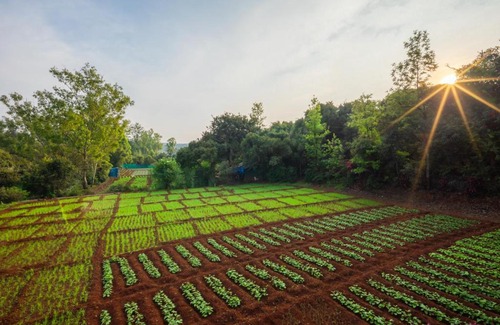 Mahabaleshwar Villa | SaffronStays RedFields By Venna River - luxury villa amidst strawberry farms