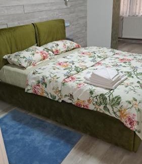 Campulung Apartment | Safta Apartaments