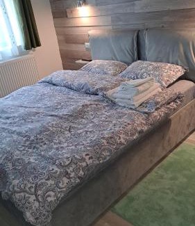 Campulung Apartment | Safta Apartaments