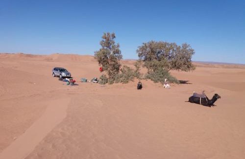 M'Hamid El Ghizlane Other | Sahara Experience Camp Mhamid