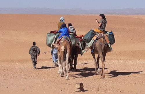 M'Hamid El Ghizlane Cabin | Sahara Peace