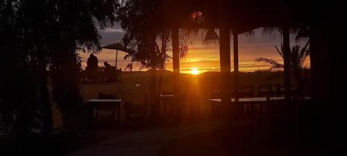 Hassilabied Other | SaharaTime Camp