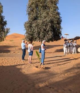 Hassilabied Other | SaharaTime Camp