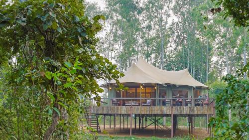 Baihar Hotel | Saja and Sal The Chief's Tent