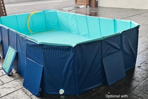 Bukit Kayu Hitam House | Sakeenah Homestay near UUM, UNIMAP and Matrik Kedah