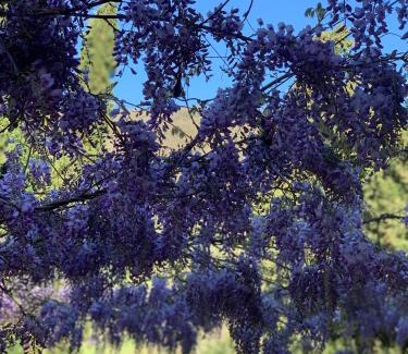 Sansepolcro House | San Martino Vald'Afra