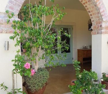Paarl House | Sandmartins