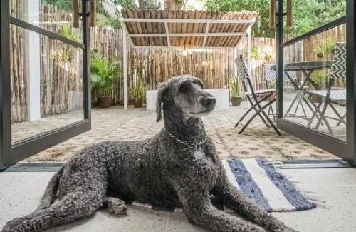 Olongapo House | SANGLEY Nest Eco Home with Self-Service Breakfast - Big Garden, Monkeys, Pet Friendly with a Fee