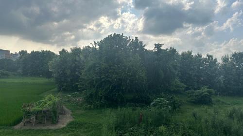 Varanasi Hotel | Sanguine Varanasi