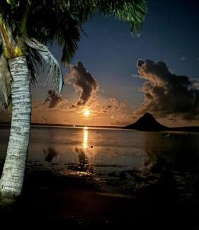 Antsiranana Hotel | SANJEELA-PLAGE COCO