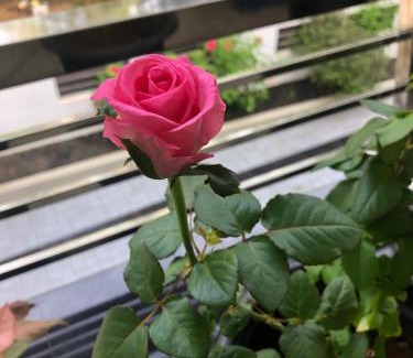 Guruvayur House | Sannidhi Home stay