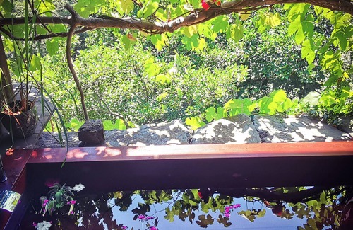 San-Martino-di-Lota Cabin | Sans Murs Dans la Nature