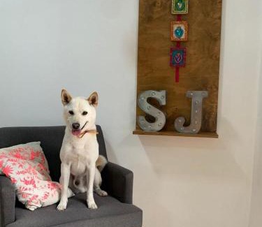 Cholula Bed & Breakfast | Santa Josefita B&B