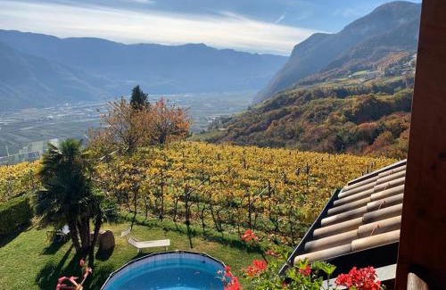 Kurtatsch an der Weinstraße Apartment | Santlhof-Chardonnay