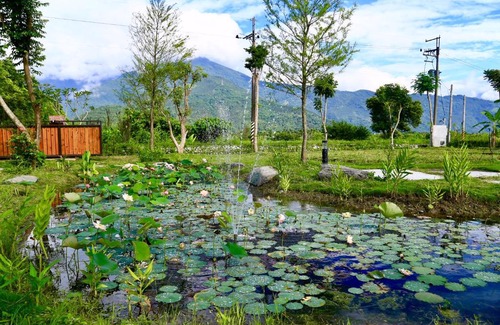 Guangfu House | Sapientia