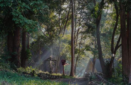 Kaeng Sopha Resort | Sappraiwan Elephant Resort & Sanctuary