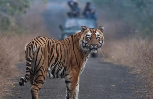 Puranpur House | Sapt Sarovar Homestay