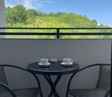 Novi Grad Sarajevo Apartment | Sarajevo APARTMENT 7 -Free Garage-