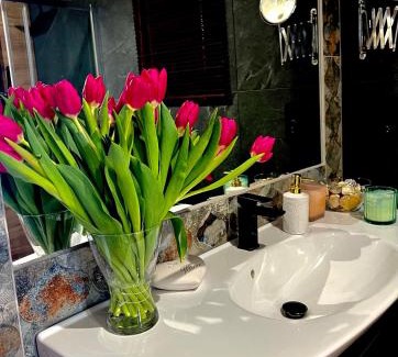 Cieszanow Apartment | Sasaki Sauna i Bania