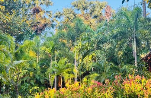 Trincomalee Ski Chalet | Sasvi Cabana