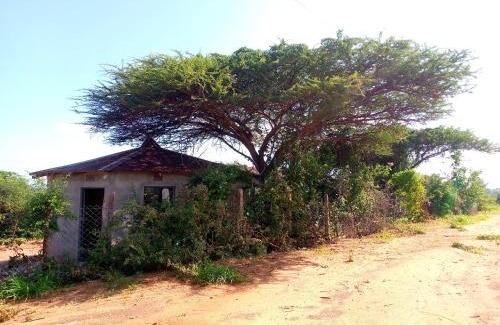 Voi Cabin | Sau Tsavo Camp