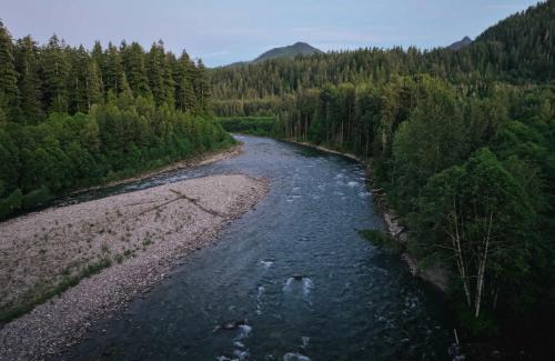 Darrington House | Sauk River Cabins - Hot tub - Firepit