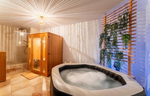 Piolenc House | Sauna et Spa, Gîte le Carrousel