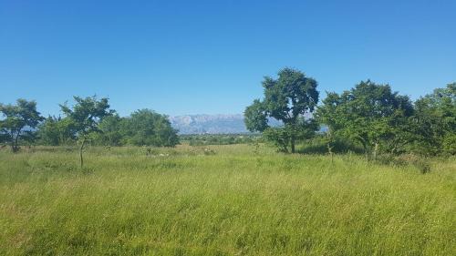 Suhovare Villa | Savršen odmor u Villa Ivona