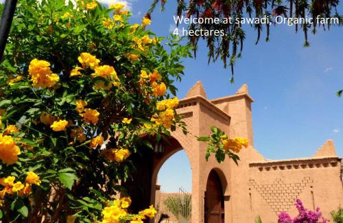 Skoura Bed & Breakfast | Sawadi Ecolodge