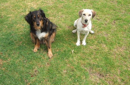 Afandou Apartment | SCALA APARTS & STUDIOS - Rhodes