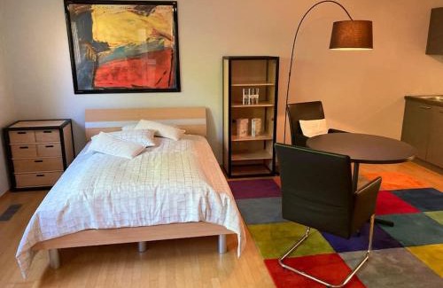 Laufenburg Apartment | Schöne Einliegerwohnung mit Freisitz. Ideal für Geschäftsleute und Reisende