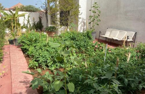 Nianing Apartment | Schöne Villa in Nianing, Mbour, Senegal