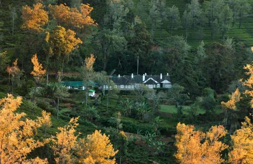 Ragala Villa | Scottish Planter Bungalow- Thema Collection