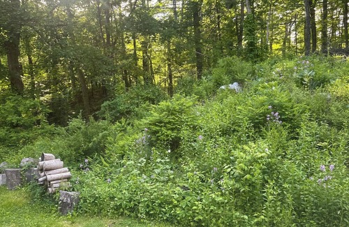 Taconic House | Scoville Estate Millhouse w Bubbling Brook + Screened Porch on 5 Private Acres
