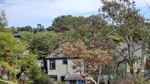 Fairfield Bed & Breakfast | Sea Birds Cottage
