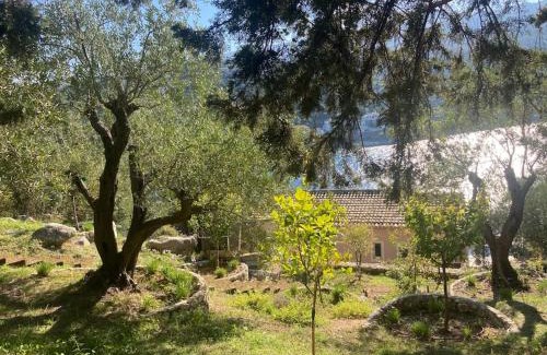 Kassiopi Villa | Sea front house in Kassiopi