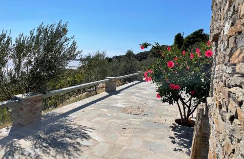 Batsi Apartment | Sea view studio 2