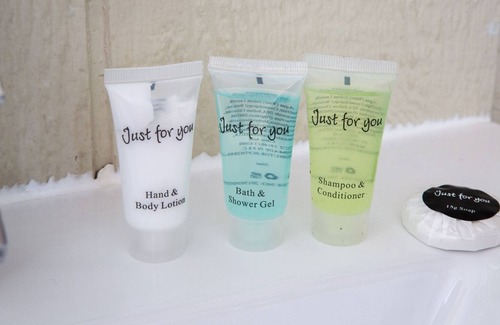 Anstruther Cabin | Seacrest Lodge (1 Bed) Pets - a lodge that sleeps 4 guests in 1 bedroom