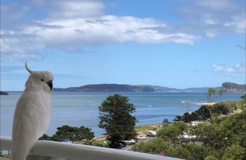 Ettalong Beach House | SEASHELLS - ETTALONG BEACH RESORT