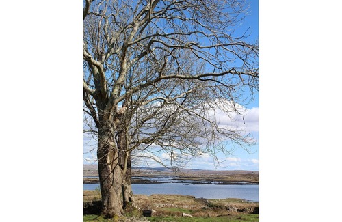 Connemara House | Seaside Cottage in Connemara