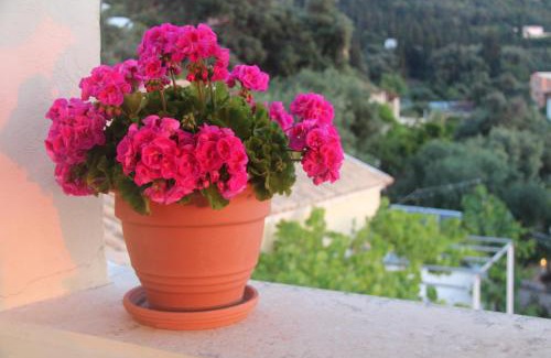 Agios Gordios Apartment | Sebastian's - Agios Gordios Beach