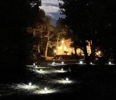 Duchesne Other | Secluded Bell Tent Nestled in the Pines in Duchesne, Utah