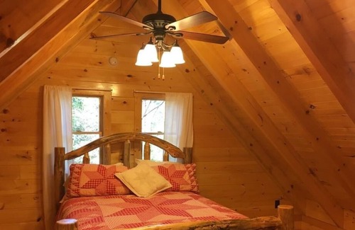 Rogers Cabin | Secluded log cabin in a heavily forested area
